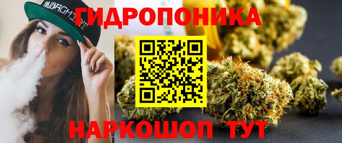 Бошки марихуана MAZAR  Конопля гибрид  Вход с VPN  Новокуйбышевск  Конопля MAZAR 